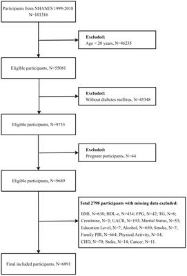 Associations between non-insulin-based insulin resistance indices and diabetic nephropathy in patients with diabetes mellitus in US adults: a cross-sectional study of NHANES 1999–2018